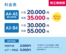 先着５名様限定！特別価格でチラシを制作します 修正無制限で効果的なチラシ制作いたします イメージ3