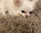 愚痴でもなんでも聞きます ☆1分だけでもお気軽にお電話ください☆ イメージ1