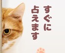 すぐにタロットで鑑定します 恋愛・相手の気持ち・仕事・人間関係・・知りたい事は何ですか？ イメージ1