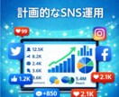 SNS運用代行をします 限定3名！モニター価格で対応します！ イメージ1