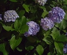 あなたをほめまくります あなたの良いところをたくさん見つけてほめます イメージ1
