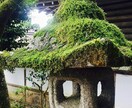 京都旅行をサポート致します 京都旅行をお考えの方、または最中の方へ イメージ1