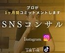Instagram/TikTokコンサルします 30億円企業の元ディレクターが1ヶ月間結果にコミット イメージ1