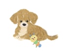 ペットの似顔絵かきます うちの子の宝物愛犬や愛猫の大好物やおもちゃを一緒に描きます イメージ3