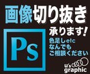 写真の切り抜きを承ります 迅速に対応いたします。必要な時にぜひお役立てください！ イメージ1