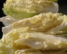 食育指導士が食べ物の好き嫌いをなくします お子様の苦手食材を、克服しちゃいましょう イメージ8