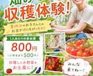 最短1時間納品！安く早くチラシ・バナー作成します 急ぎOK！学校プリント・宣伝バナー作ります イメージ4