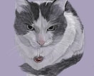 ペット似顔絵、猫イラスト、犬イラスト描きます 大切なペットをリアルタッチ、オシャレな色合いで仕上げます イメージ3