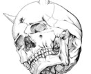 アイコンサイズ（正方形）のイラスト承ります ご要望に沿った正方形の線画イラスト・色付イラスト承ります イメージ1