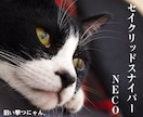 二つ名を授けます ネタでも、本当の二つ名でも、様々なご依頼をください イメージ3