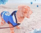 あなたのお気に入り写真を加工で可愛くしちゃいます ベストショットが撮れたあなたに♡ イメージ3