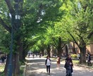 元東大生がキャンパス案内しながらドラゴン桜します 受験の不安と戦う地方学生さん、自信とやる気をチャージします！ イメージ3
