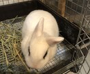心のケアをバックアップします あなたの心に寄り添い、モヤモヤをスッキリさせます イメージ1