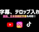 動画の【テロップ、字幕入れ】を【格安】でします 多様な要望OK！英語素材・翻訳も対応！ イメージ1