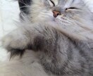 いのちのでんわ受け付けています すぐに繋がるいのちのでんわ。話したいことゆっくりお聞きします イメージ3