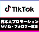 TikTok日本人再生増えるまで拡散します ココナラ最安★日本国内1000再生回数増加 イメージ3