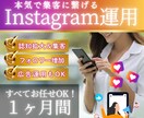 限定５枠！本気で集客！インスタグラム運用します 1ヶ月間完全丸投げOK！あなた専属のSNS担当者になります イメージ1