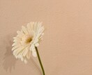 子育ての悩み、寄り添います 元保育士の具体的アドバイス◎楽しく子育てしていきましょう！ イメージ1