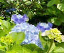 感謝の気持ち記念日等感動サプライズムービー作ります 写真や動画にメッセージを添えたサプライズムービー制作 イメージ5