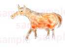 かわいい動物を描きます 動物、キャラクター等、ふんわり イメージ3
