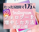 実績あり！インスタ集客・運用ノウハウ教えます 3週間でフォロワー1万人達成した私がやったこと全部公開！ イメージ1