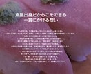 初心者歓迎！Wixでホームページ作成します 映画公式サイトのホームページ制作経験デザイナーが作成します イメージ3