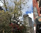ワーホリ・留学の相談のります 英語力0でも未経験でもワーホリを楽しみたいあなたへ イメージ3