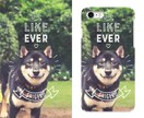 ペット写真修正★背景を自然に綺麗に加工します 顔がイイのにもったいない！残念な背景をまるっとチェンジ イメージ2