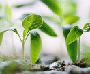 今のままではイヤ！変わりたい！！をサポートします あなたが【変わる】ためのお手伝いします(*˘︶˘*).｡*♡ イメージ6