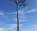 あなたのお話を聞き、満足させます HAPPYな人生になるように応援しますよ！ イメージ1