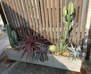 植物に関するお悩みの相談お受けします 園芸店勤務23年の経験を活かして丁寧にアドバイス致します イメージ8