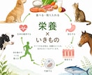 オーナーと同じ食材を用いた食事を設計します ワンちゃんネコちゃんにも手作りのご飯を食べてほしい！ イメージ1