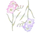 お花や葉っぱ、植物のイラスト色々なタッチで描きます ナチュラル〜リアルタッチのテイストでお花や植物をお描きします イメージ1