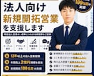 法人向け新規開拓営業を支援します 新規開拓100社超の現役法人営業が実践策を提案 イメージ1