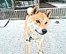 写真をイラスト風に加工します 一味違うアートにして写真を飾れる イメージ1
