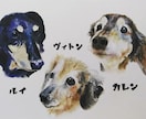 データ配送⚠大切な可愛い愛犬の似顔絵お描き致します 写真サイズの似顔絵を描きます。世界で1枚だけの手描きです。 イメージ3