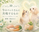 ペットさんのチャクラ状態を確認し整えます 7つのチャクラを確認し、今必要なエネルギーケアをお届け イメージ3