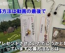 動画の字幕・テロップ挿入請け負います 動画のテロップ入れや字幕をご希望をお聞きしながら作ります。 イメージ1