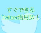 1週間のTwitter集客コンサルをします 【まずはフォローされやすい魅力的なアカウントに！！】 イメージ1