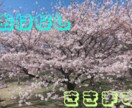 短時間でも大丈夫⭐︎お話しお聞きします 無性に話したい、愚痴を聞いてほしい方のお話しをお聞きします。 イメージ1