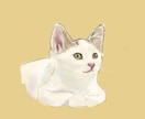 ご自宅で一緒に住んでるネコのイラストを制作します ご自宅ネコちゃんイラスト（お試し版：肩より上・顔アップ） イメージ6