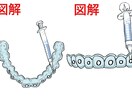 現役歯科衛生士がゆる可愛い医療イラストをお描きます パワポや院内の資料にゆるいイラストを入れて可愛さアップ！ イメージ9