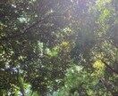 前向きになれる方法探します (HSP)あなたが少しでも前を向いて一歩踏み出せるように。 イメージ1