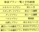 ウェブサイトのアクセシビリティ検査を行います 初めてのお客様は、全プラン半額になります。 イメージ2