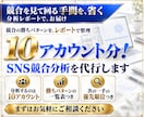 10アカウント分！SNS競合分析を代行します 共通点と伸びた投稿の型をレポートで整理。次の一手つき イメージ1
