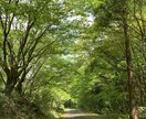 おふたりの過去生からのつながりを霊視いたします あなたに寄り添う占い師　お気軽にご相談ください イメージ1