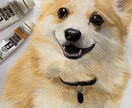 あなたのペット描きます ペットを絵にしてみませんか？？ イメージ1