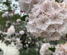 チャット♪お試し7日間！なんでも聞きます 愚痴、悩み、相談 、他愛のないお話しなんでもOKです♡ イメージ3