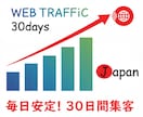 30日間/1.６万人集客！確実に集客UPします ビジネス成功の鍵はアクセス数！30日間安定した集客で売上UP イメージ1