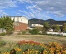 スターシードとしてのあなたの光の部分を照らします あなたの苦しみ、悲しみ、恐怖、怒りが楽になる方向へ導きます。 イメージ1